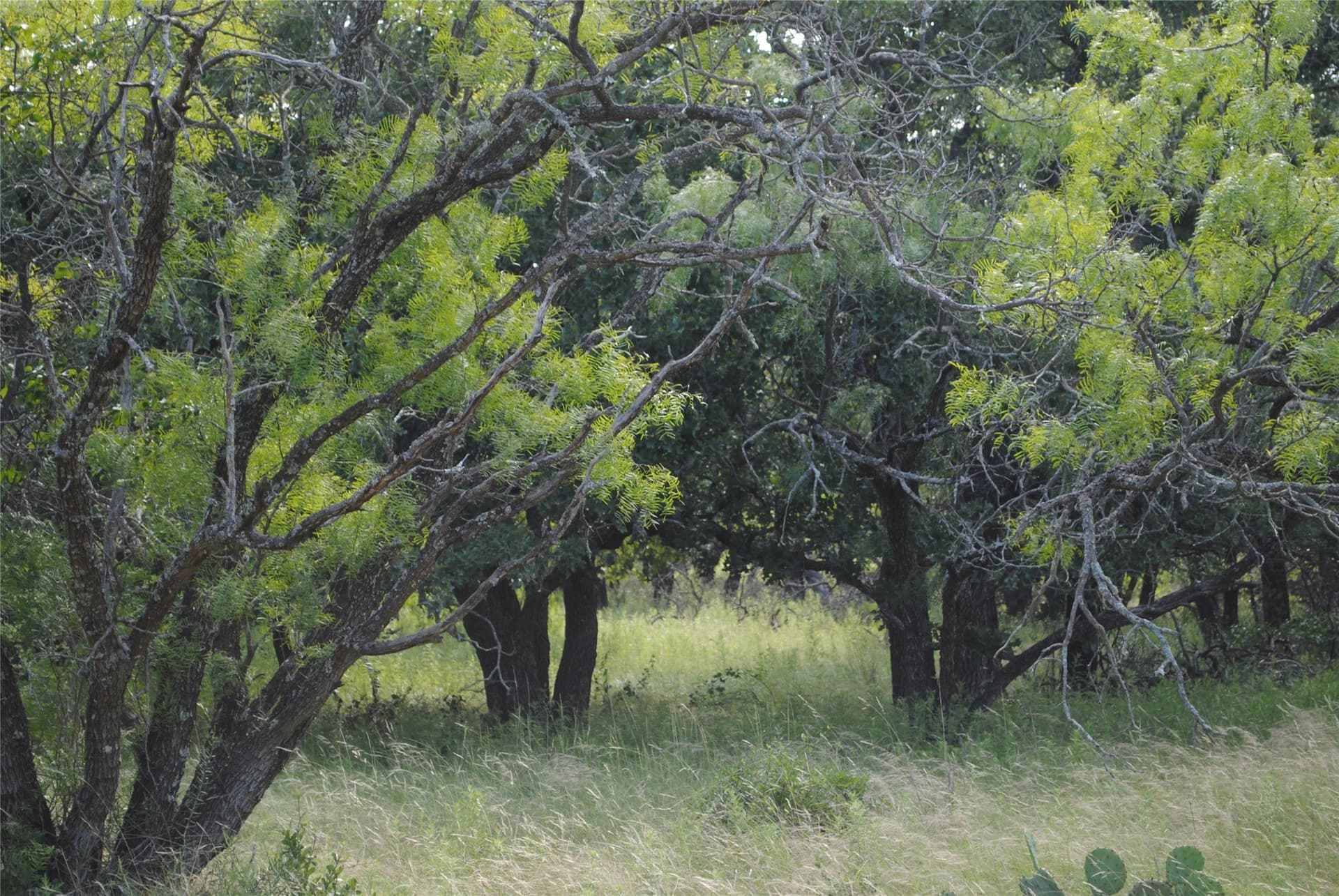 412.77 acres in Comanche County - photo 15