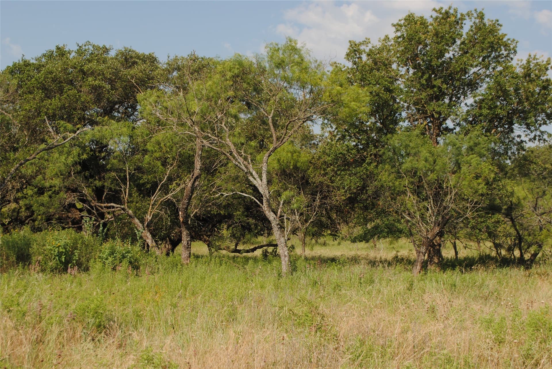 412.77 acres in Comanche County - photo 13