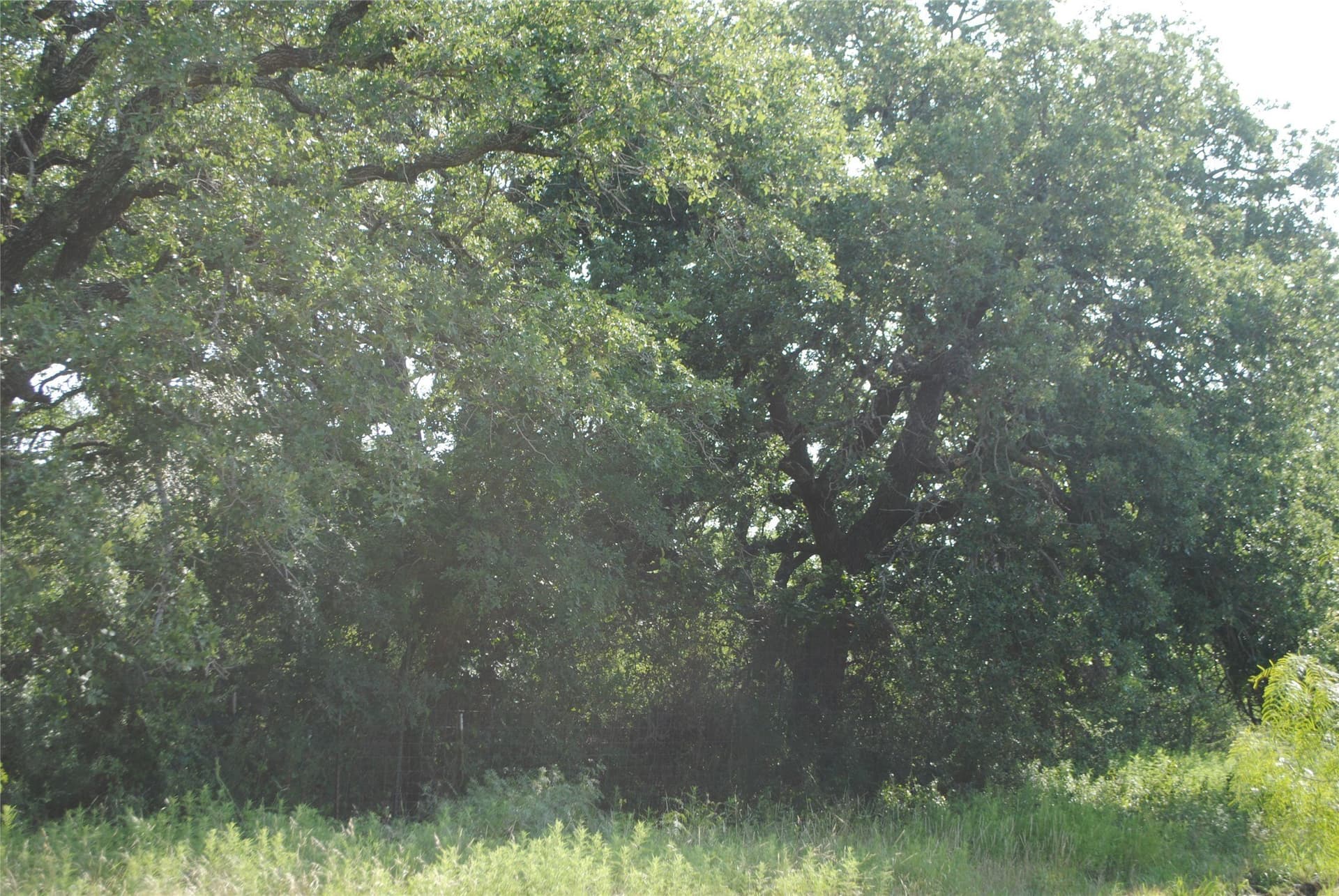 412.77 acres in Comanche County - photo 12