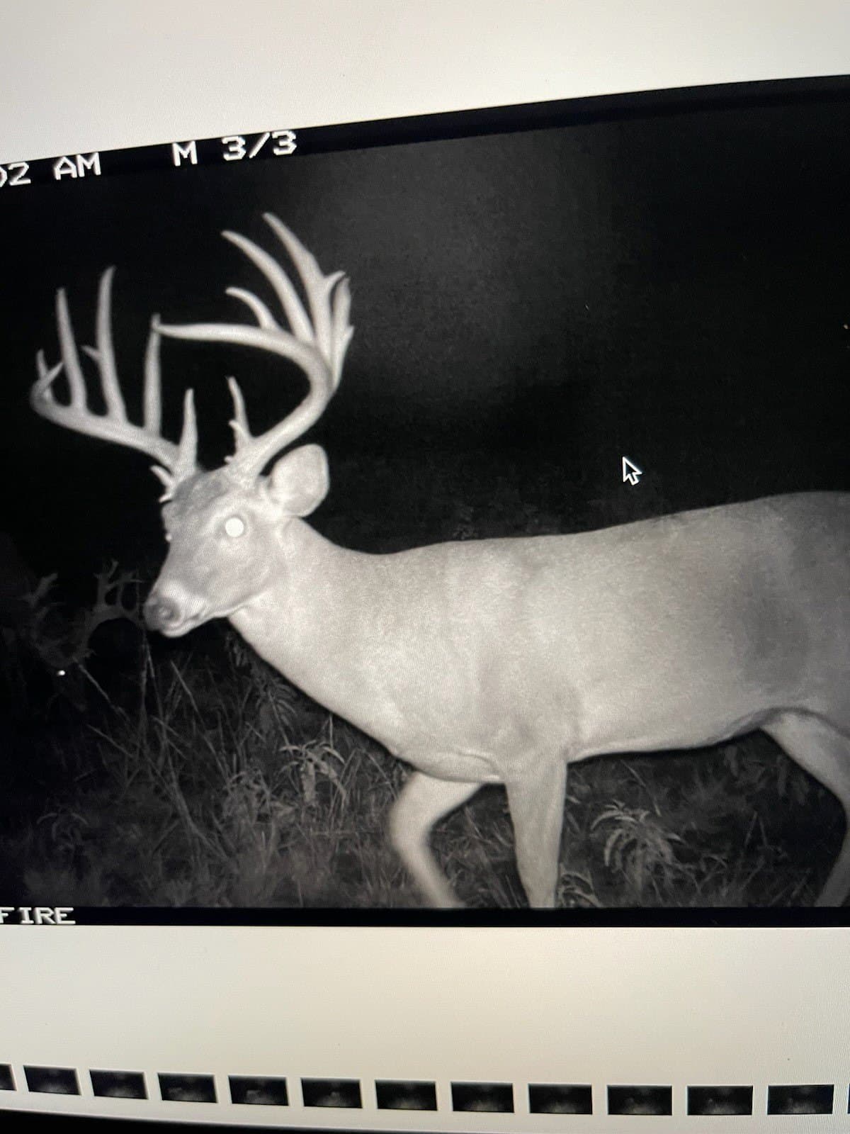 412.77 acres in Comanche County - photo 26