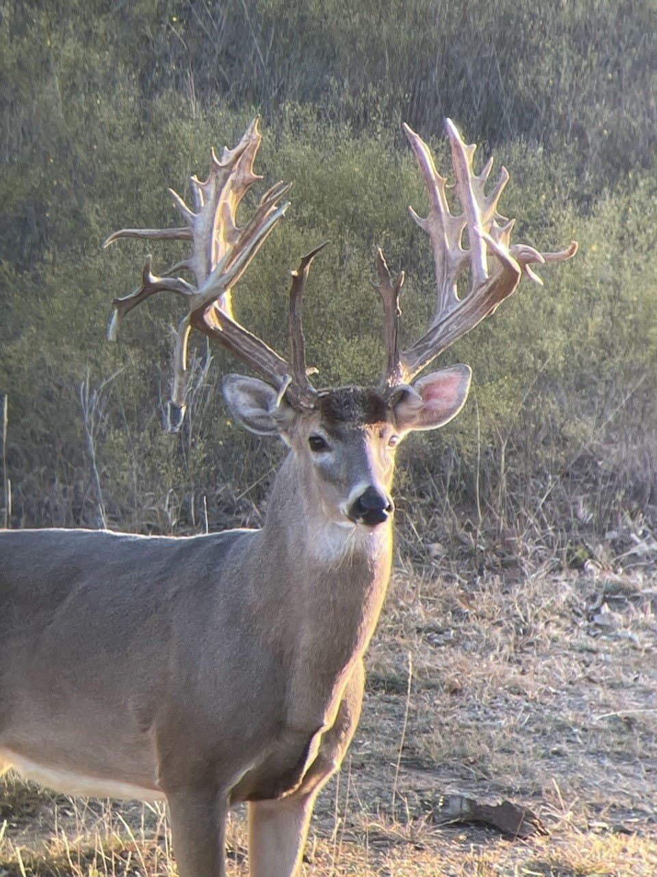 412.77 acres in Comanche County - photo 18