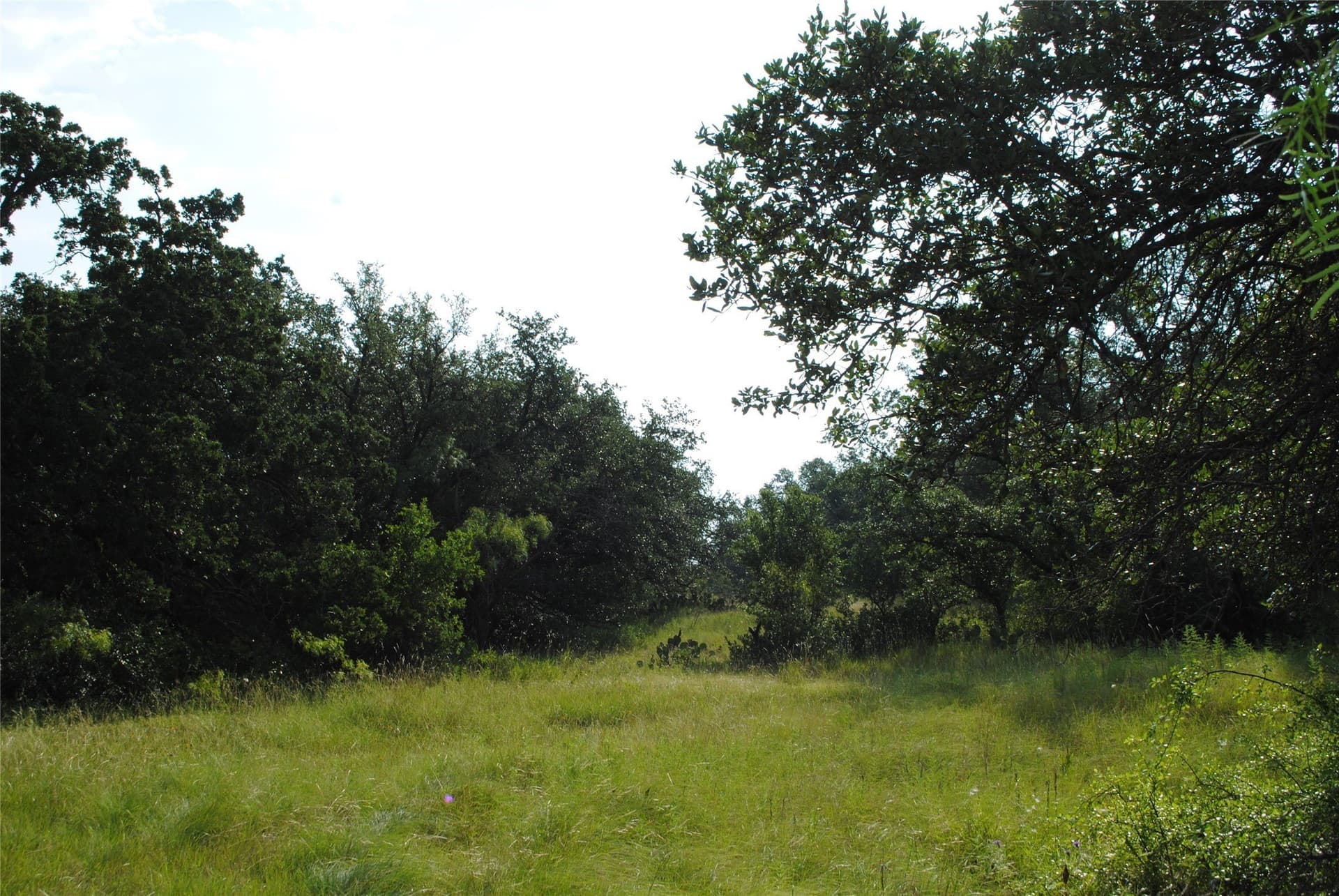 412.77 acres in Comanche County - photo 10