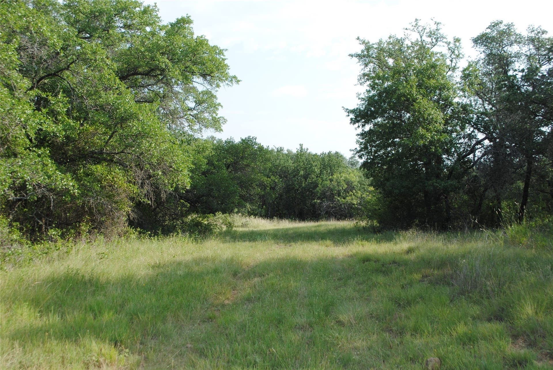412.77 acres in Comanche County - photo 8