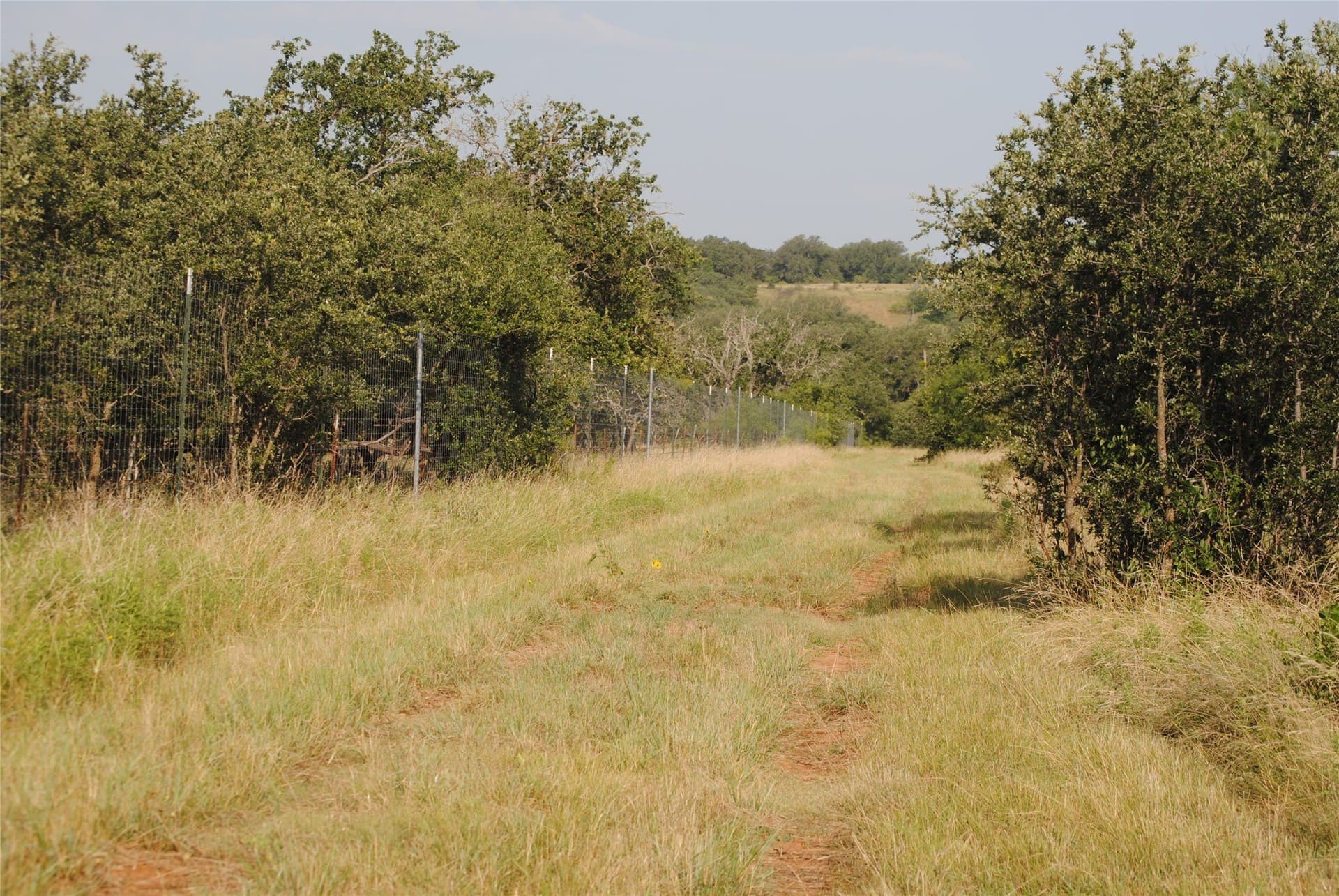412.77 acres in Comanche County - photo 3