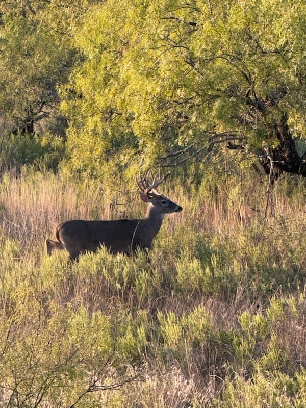 412.77 acres in Comanche County - photo 21