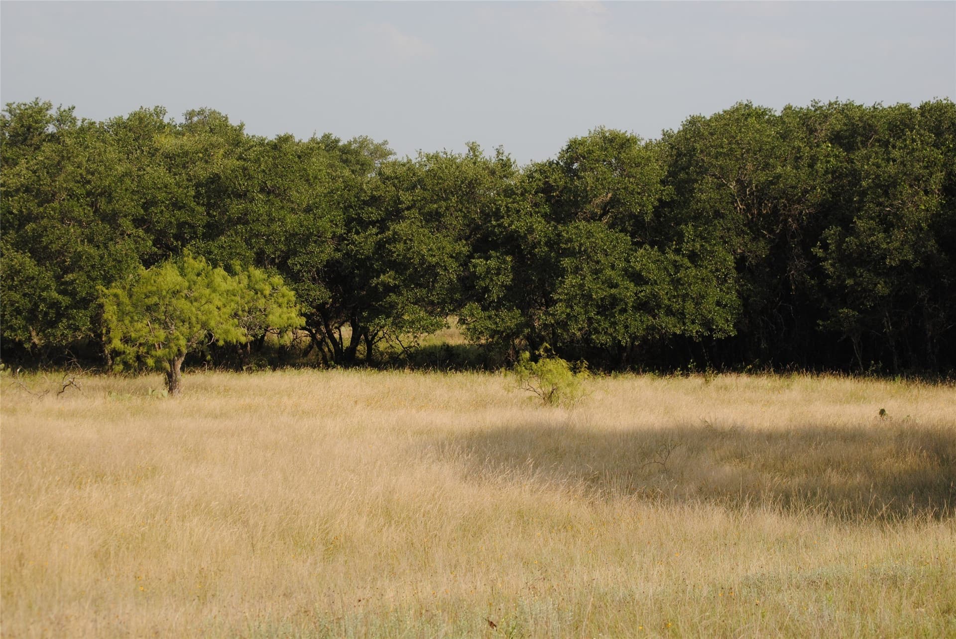 412.77 acres in Comanche County - photo 4