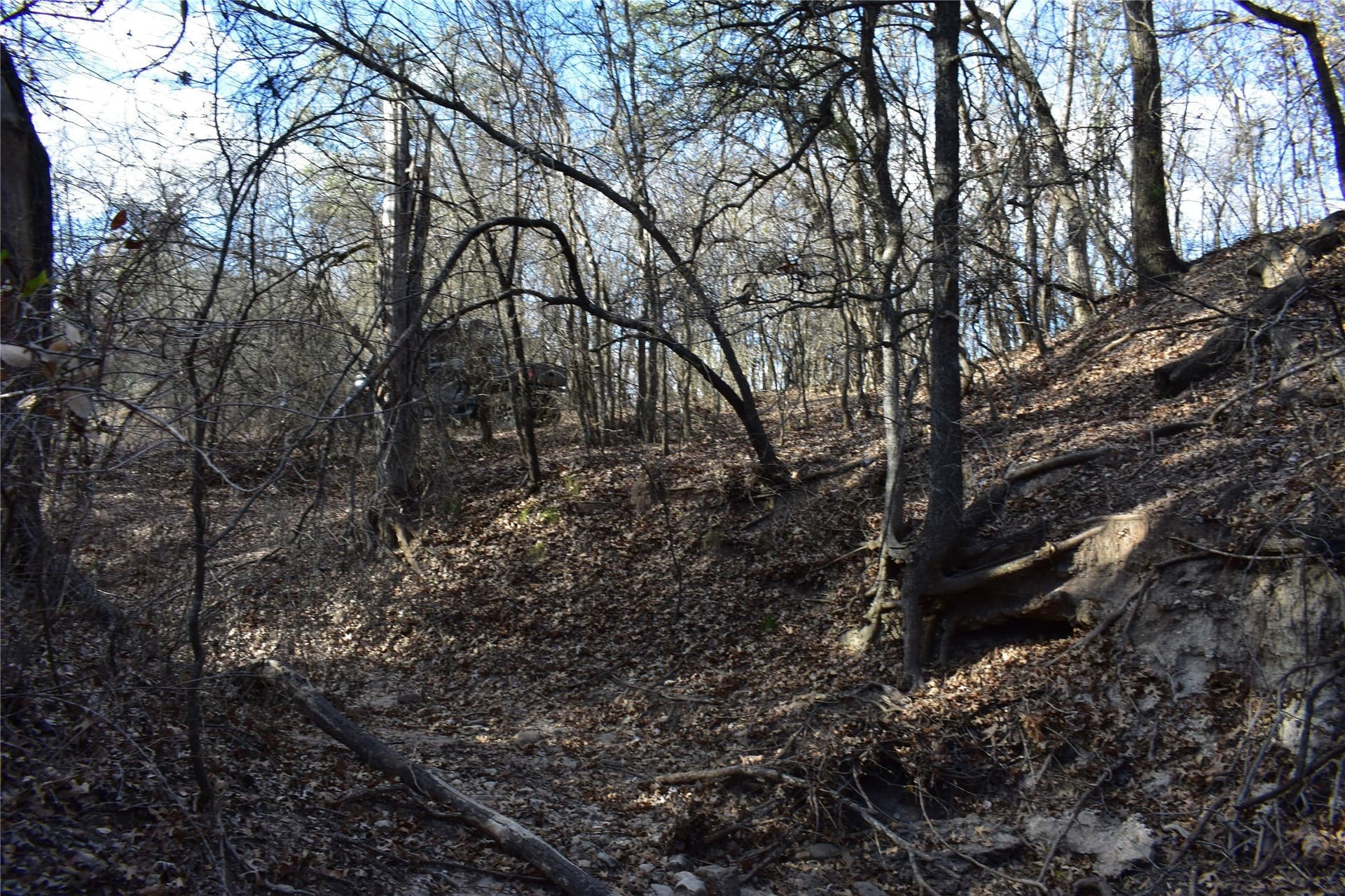 62.31 acres in Erath County - photo 6