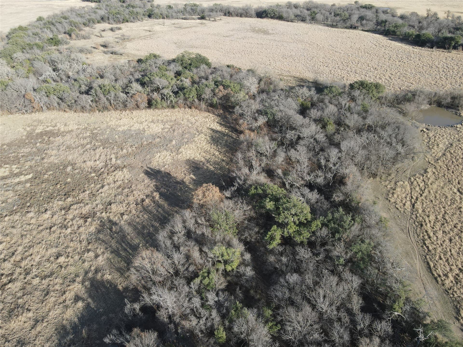 62.31 acres in Erath County - photo 2