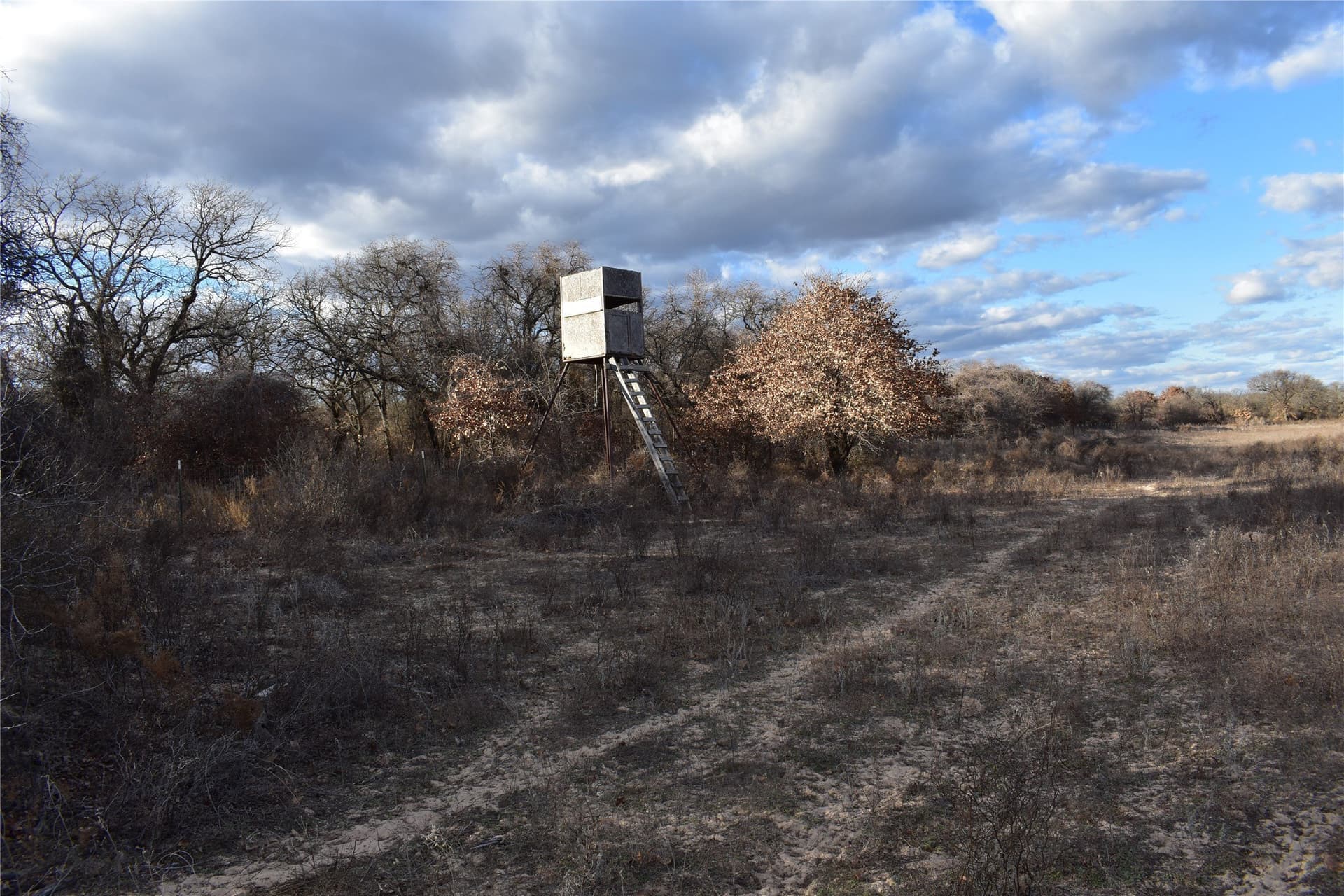 62.31 acres in Erath County - photo 9
