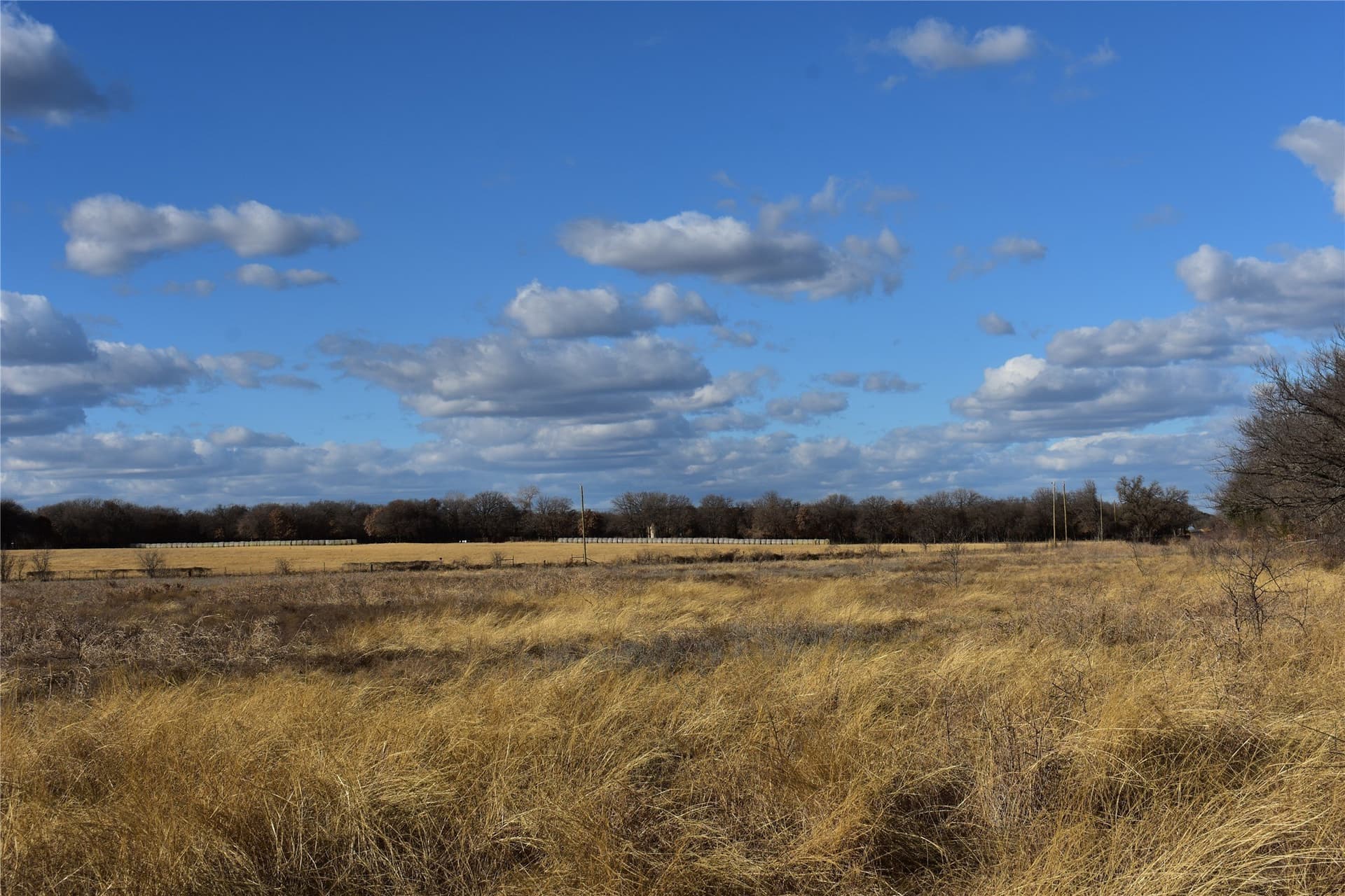62.31 acres in Erath County - photo 22