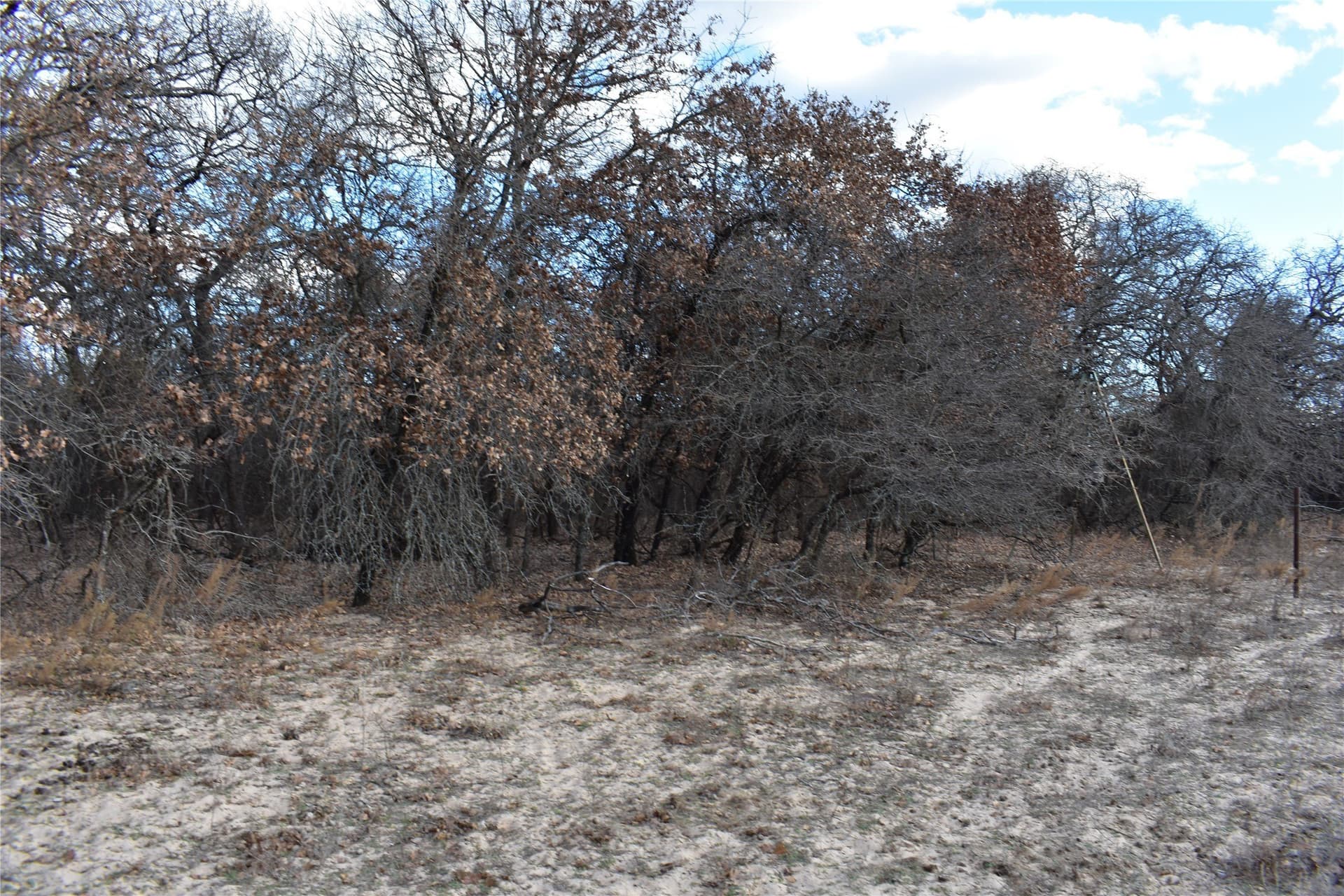 62.31 acres in Erath County - photo 15