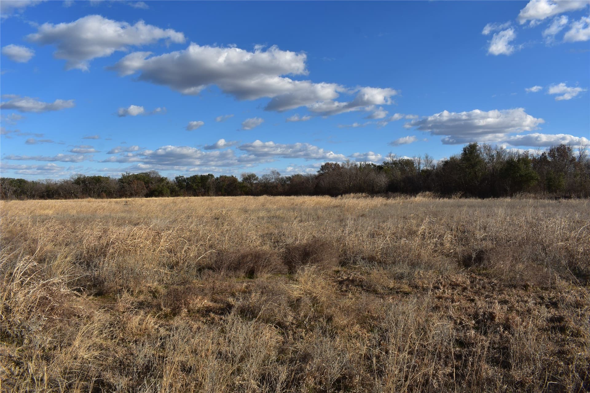 62.31 acres in Erath County - photo 23