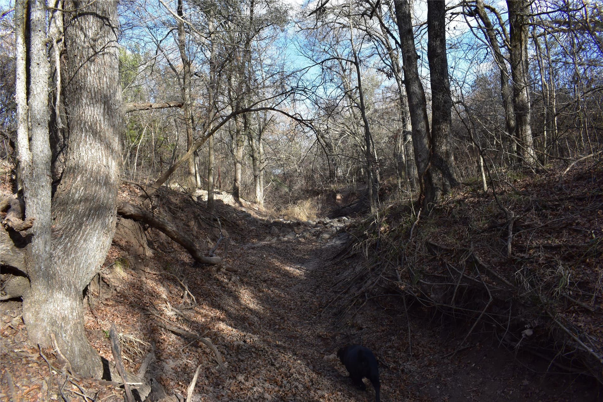 62.31 acres in Erath County - photo 12