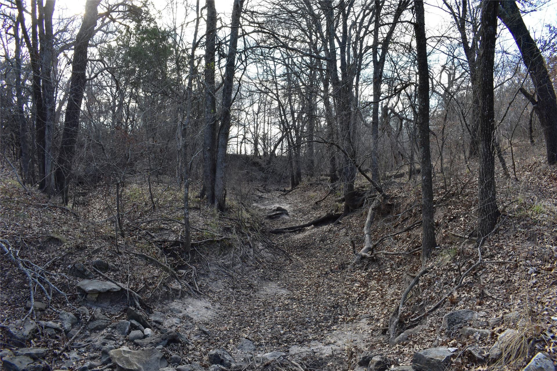 62.31 acres in Erath County - photo 8