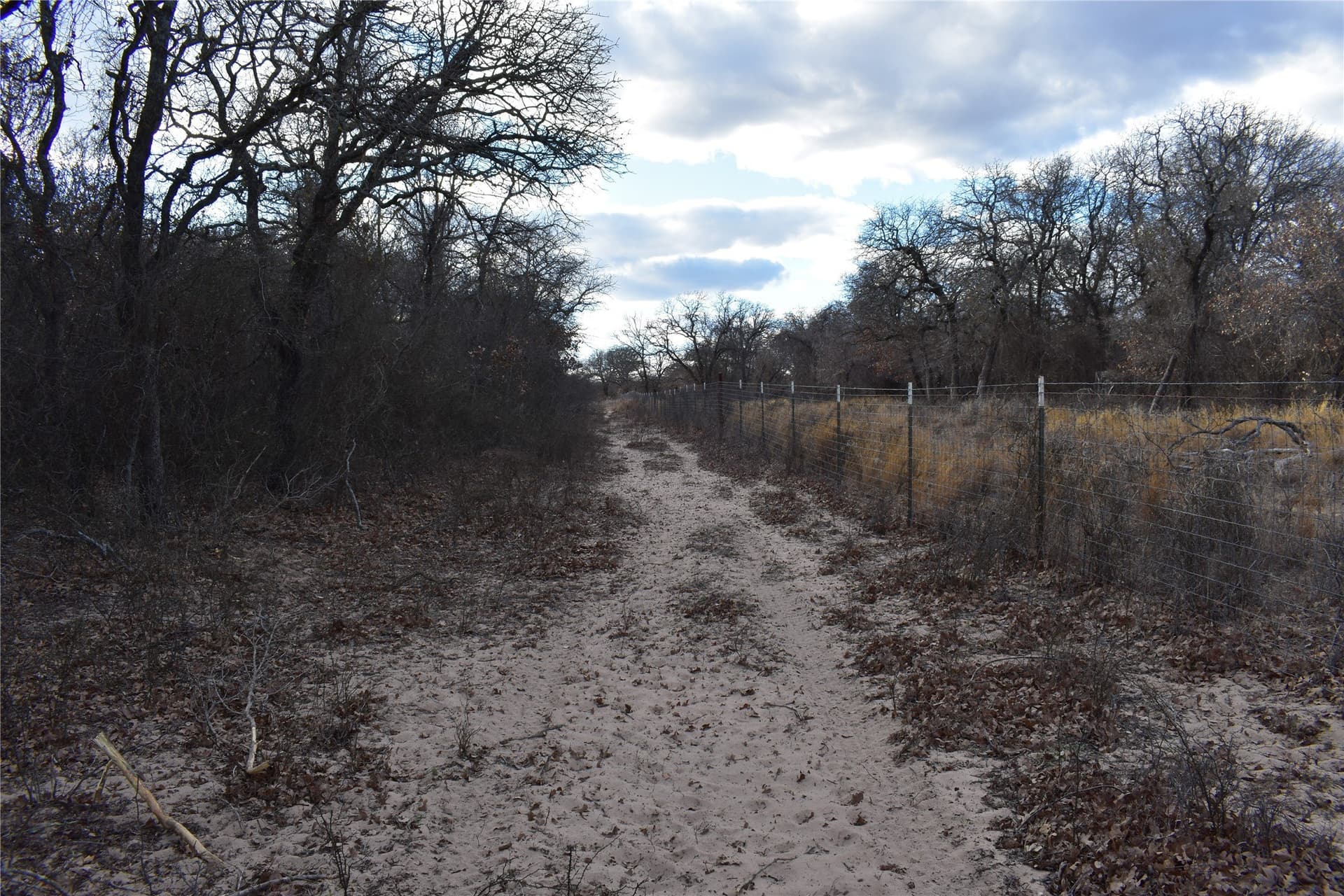 62.31 acres in Erath County - photo 16