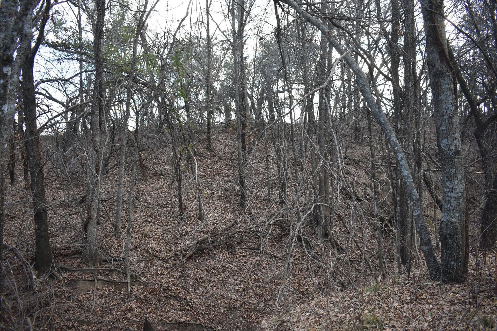 62.31 acres in Erath County - photo 13