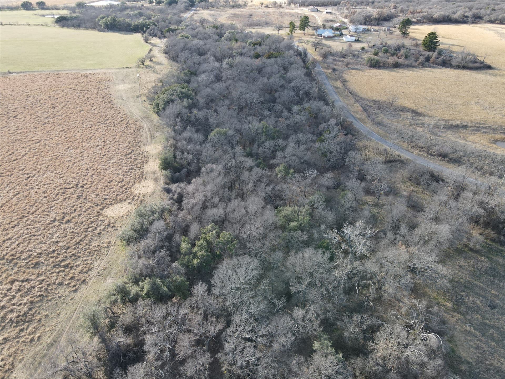 62.31 acres in Erath County - photo 4