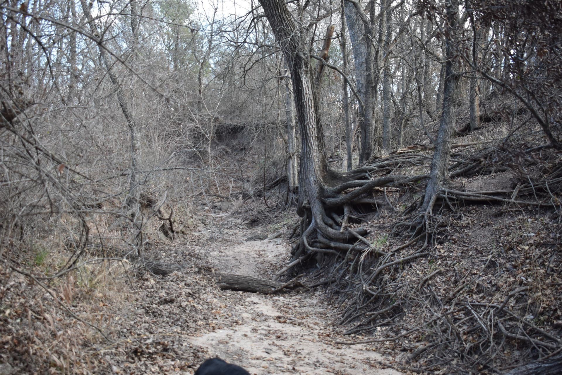 62.31 acres in Erath County - photo 7