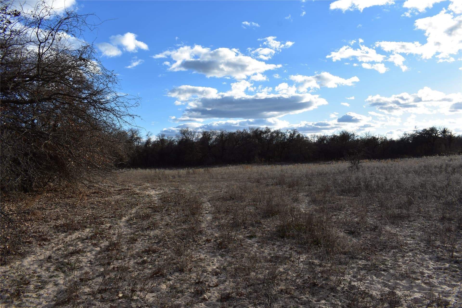 62.31 acres in Erath County - photo 21