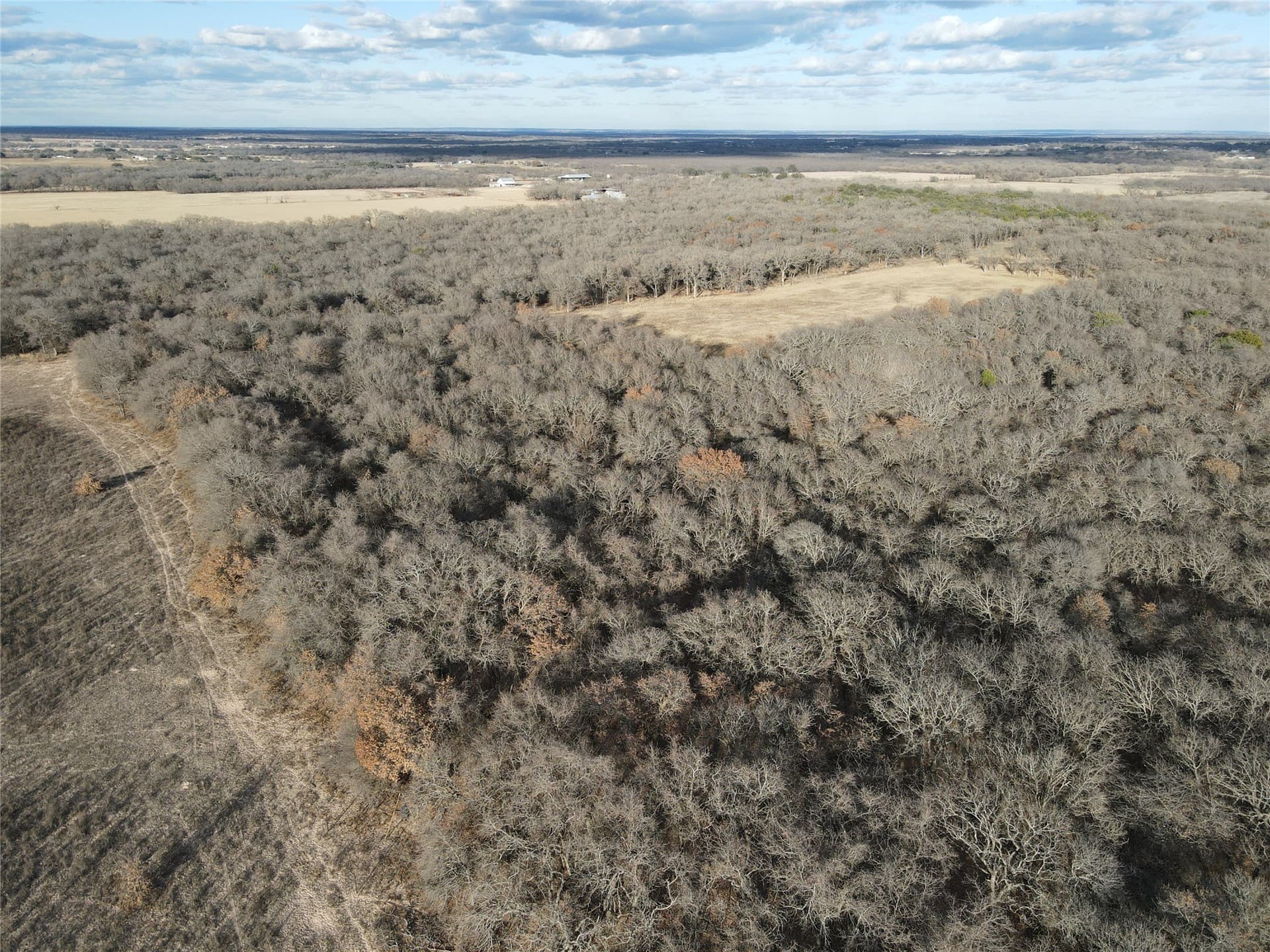 62.31 acres in Erath County - photo 34