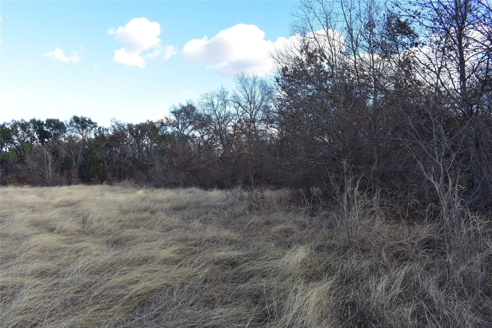 62.31 acres in Erath County - photo 17