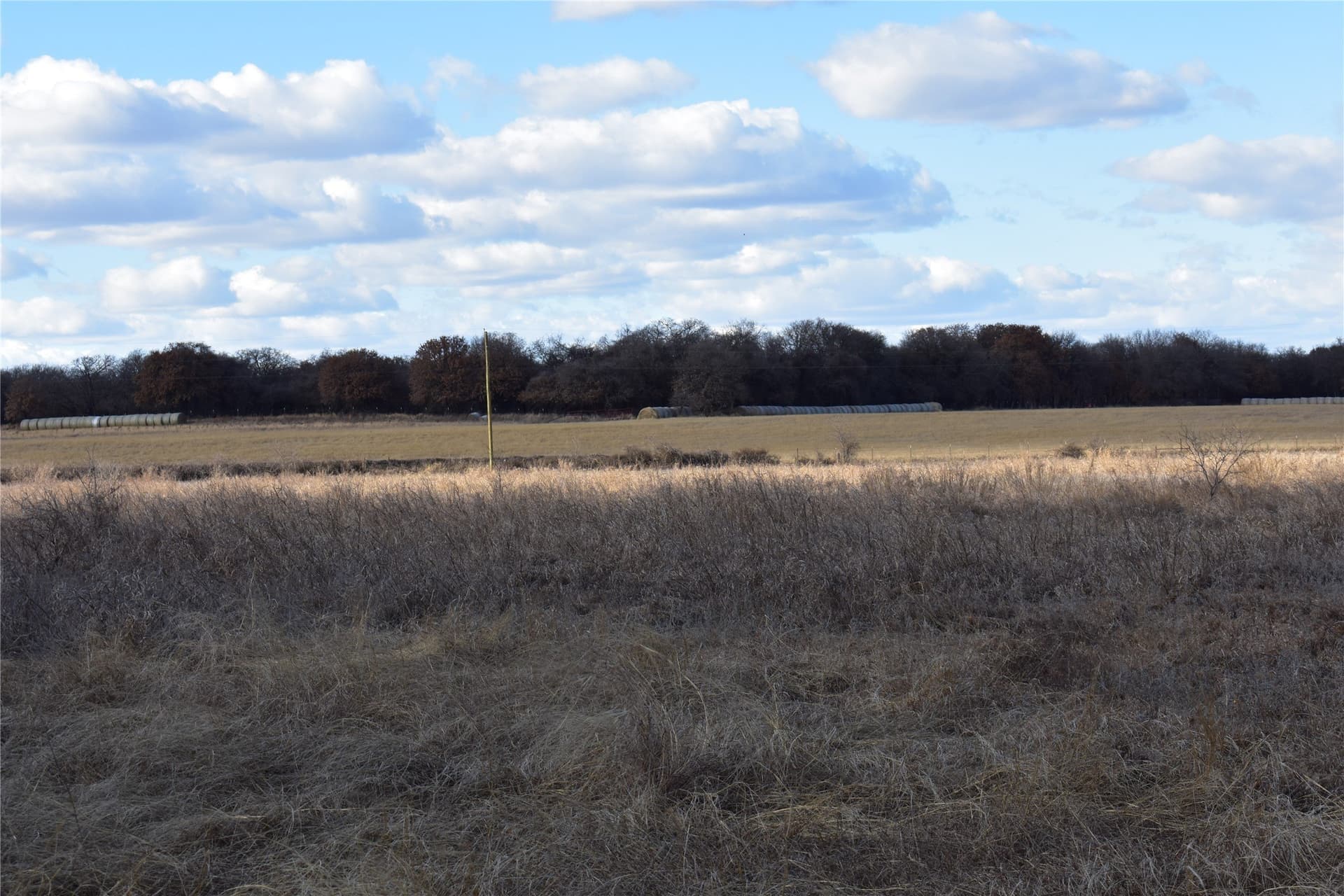 62.31 acres in Erath County - photo 10