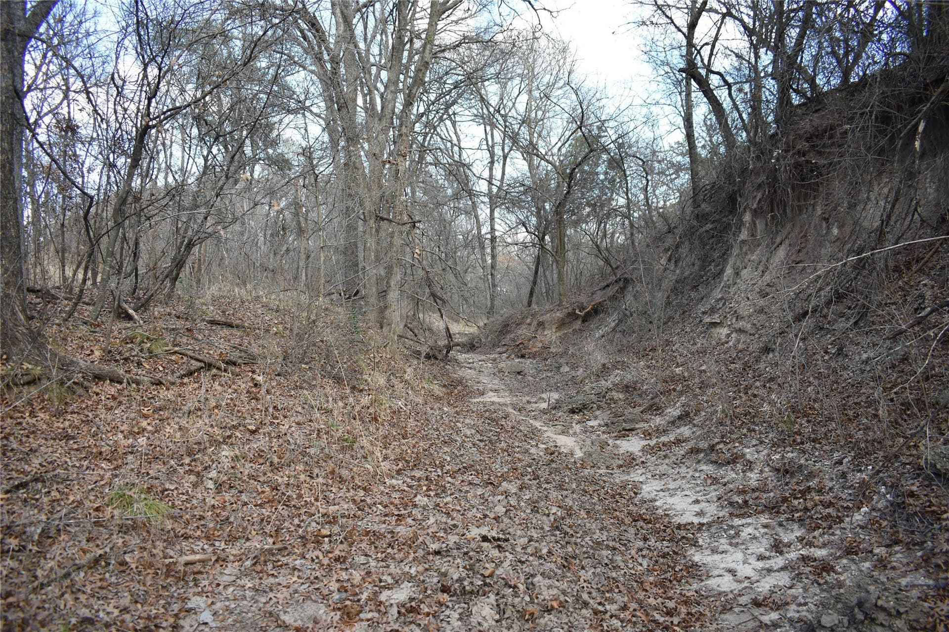 62.31 acres in Erath County - photo 5