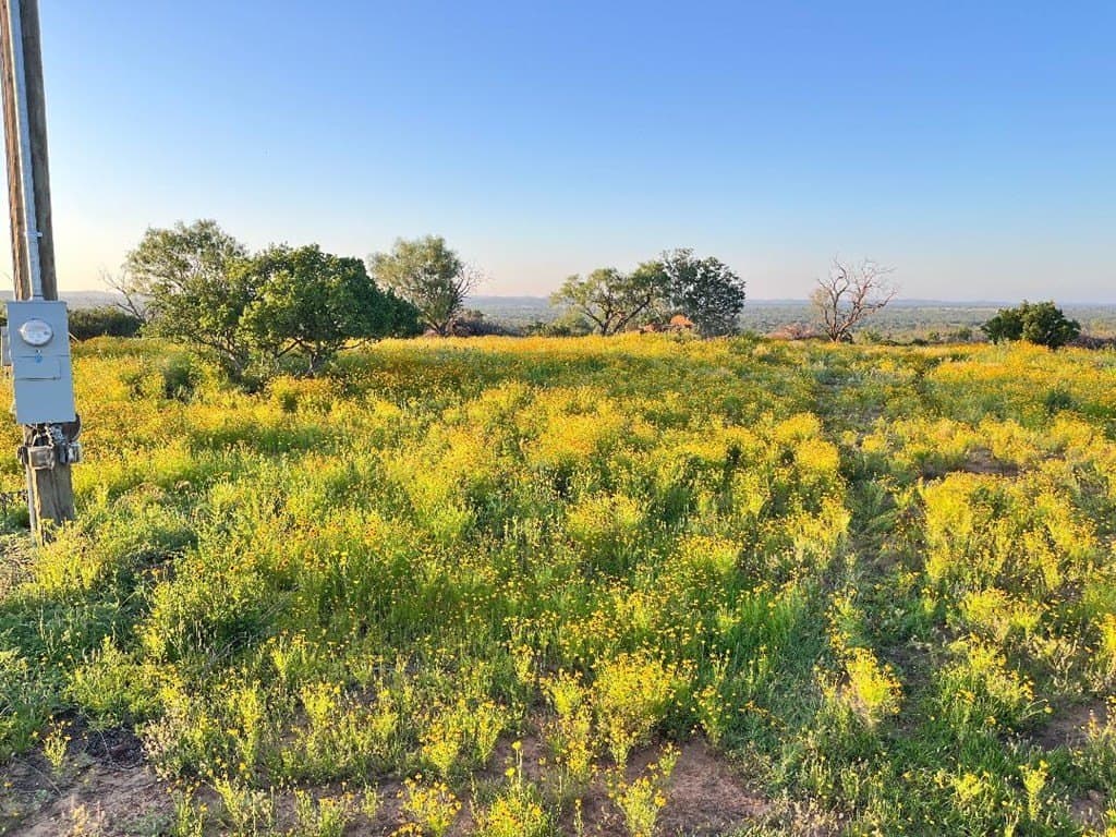 15.1 acres in Mason County gallery image 3