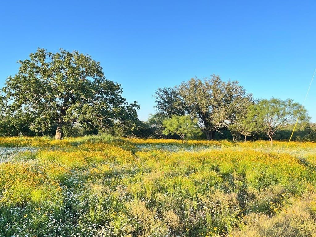 15.1 acres in Mason County gallery image 2