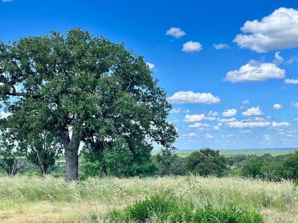 15.1 acres in Mason County