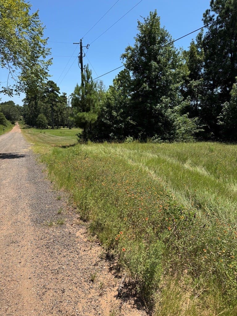 2.87 acres in Texas County - photo 10