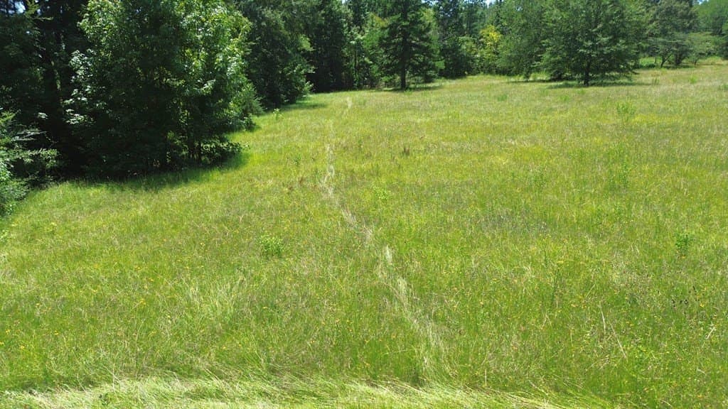 2.87 acres in Texas County - photo 7