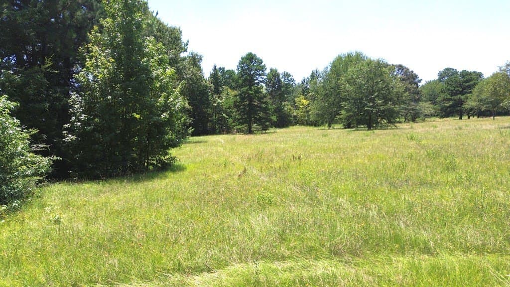 2.87 acres in Texas County gallery image 4