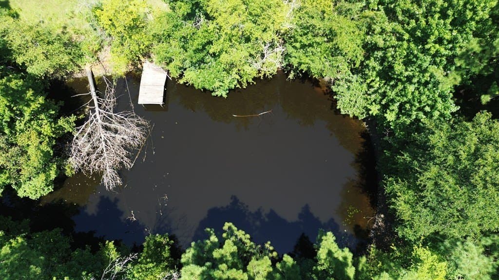 2.87 acres in Texas County gallery image 3