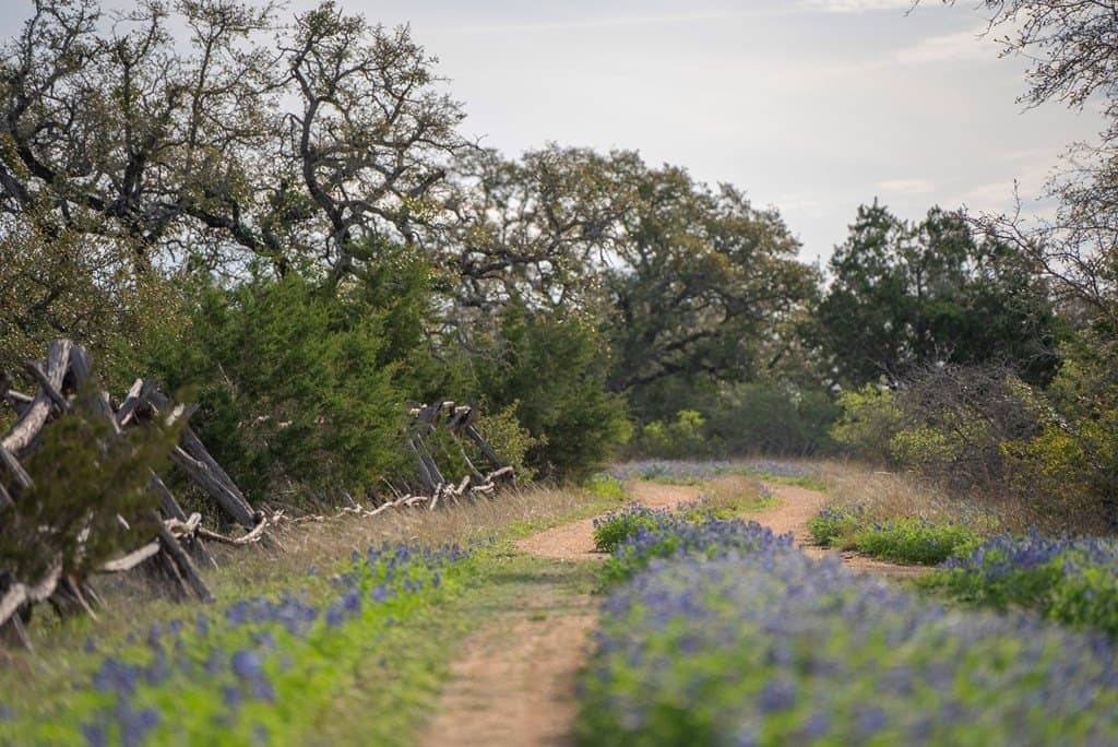 100.01 acres in Hays County - photo 6