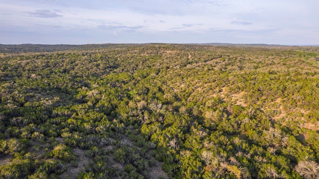 100.01 acres in Hays County - photo 28