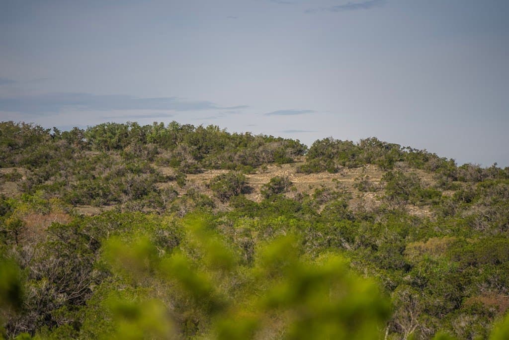 100.01 acres in Hays County - photo 15