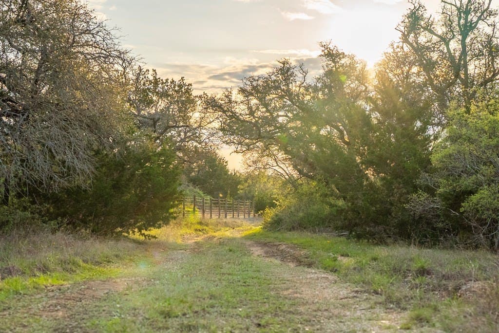 100.01 acres in Hays County - photo 8