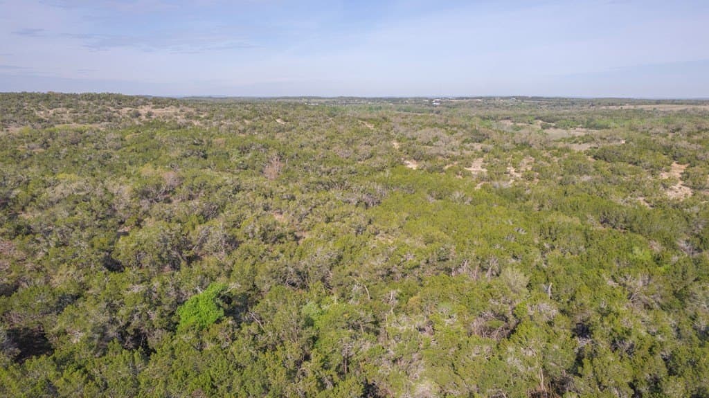 100.01 acres in Hays County - photo 12
