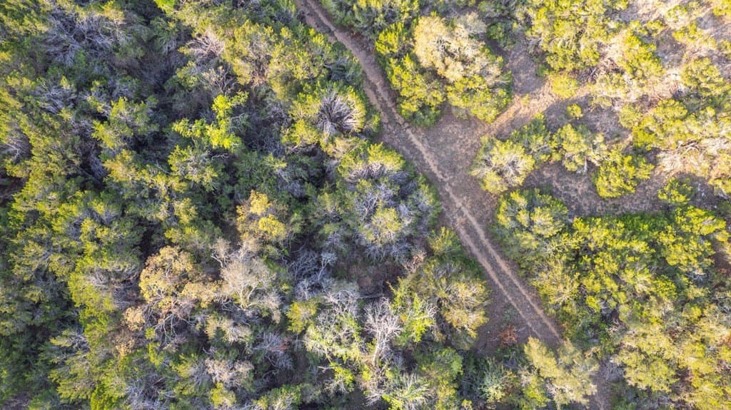 100.01 acres in Hays County - photo 27