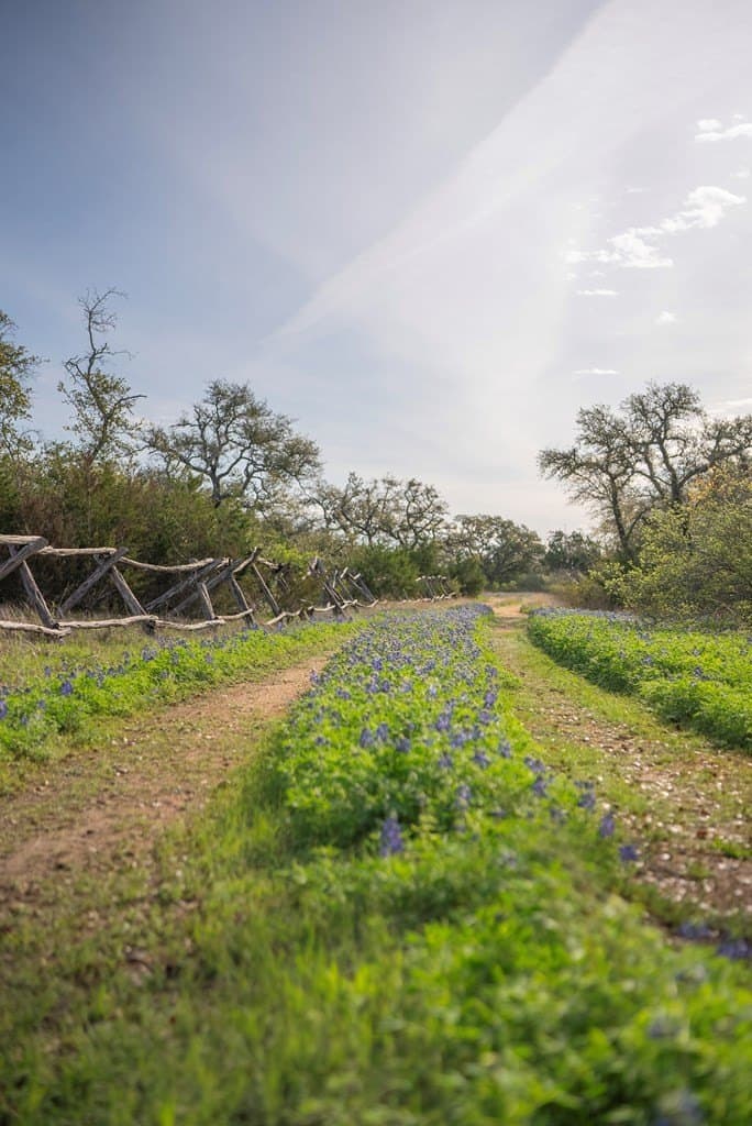 100.01 acres in Hays County - photo 23