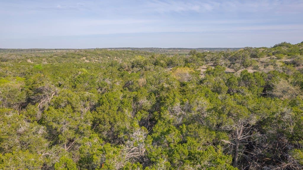100.01 acres in Hays County - photo 11