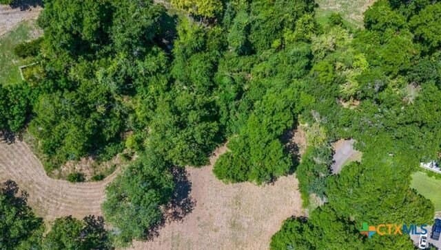 0.52 acres in Guadalupe County gallery image 4