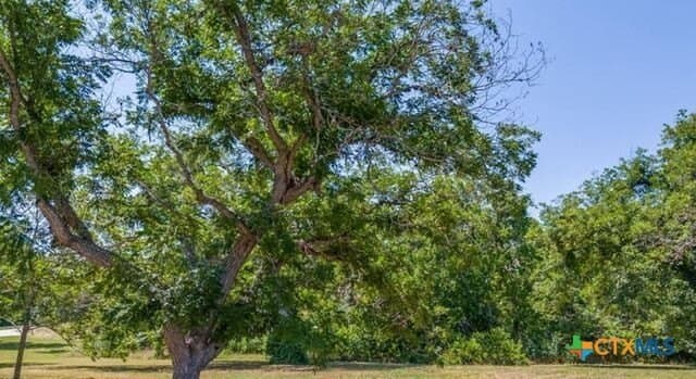 0.52 acres in Guadalupe County gallery image 3