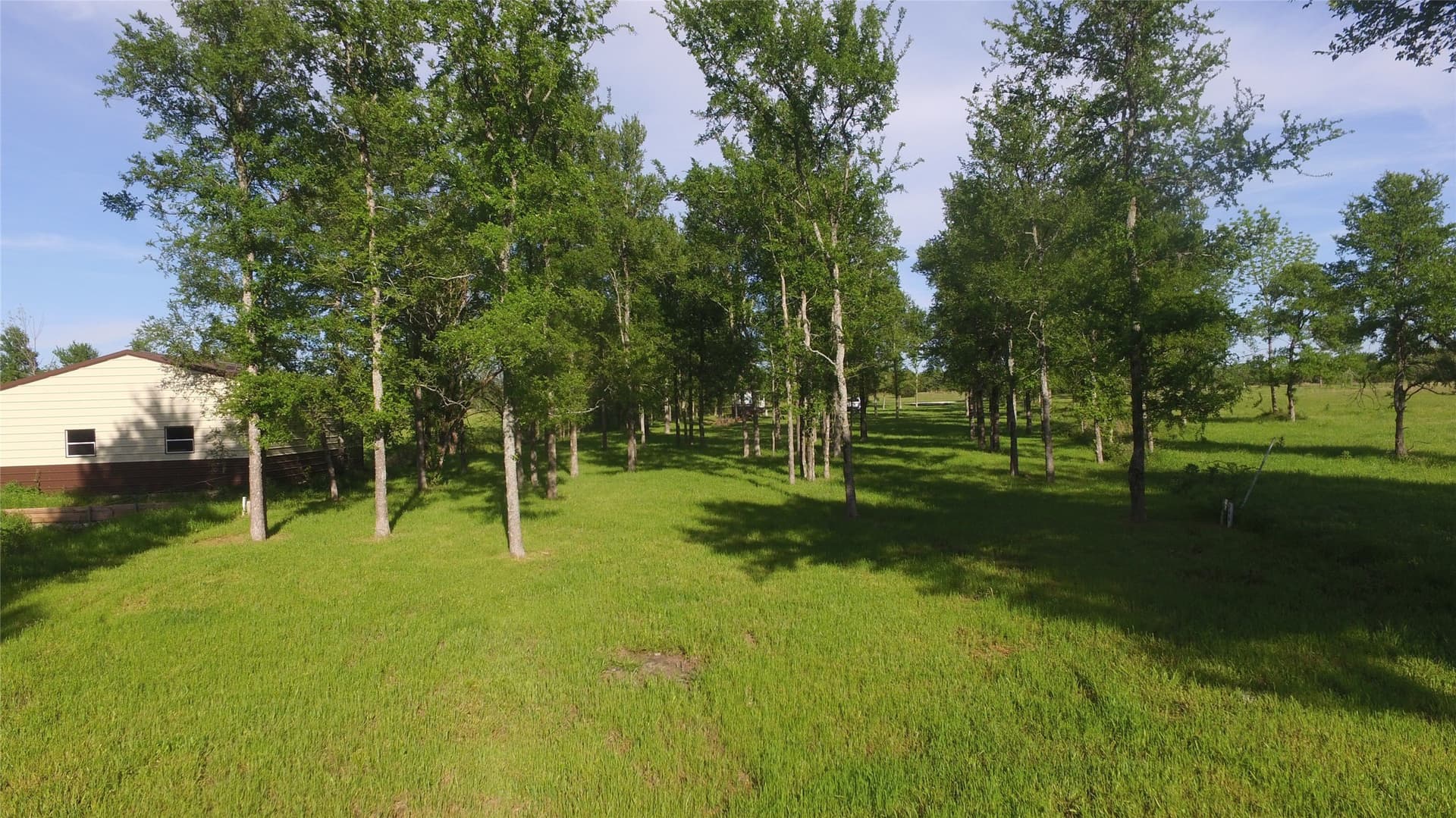 1.02 acres in Rains County - photo 8