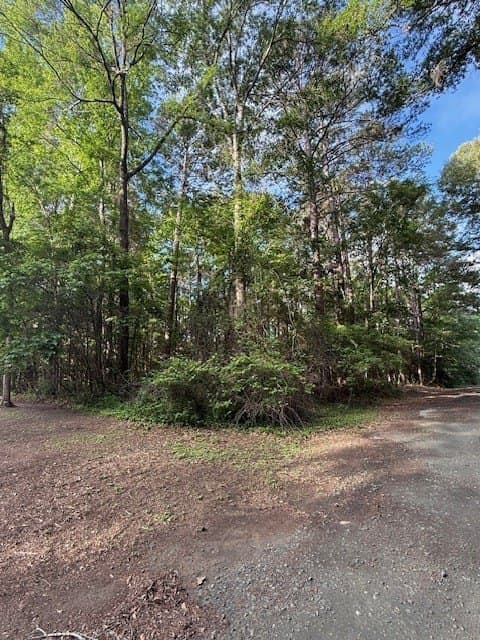 0.28 acres in Texas County - photo 12