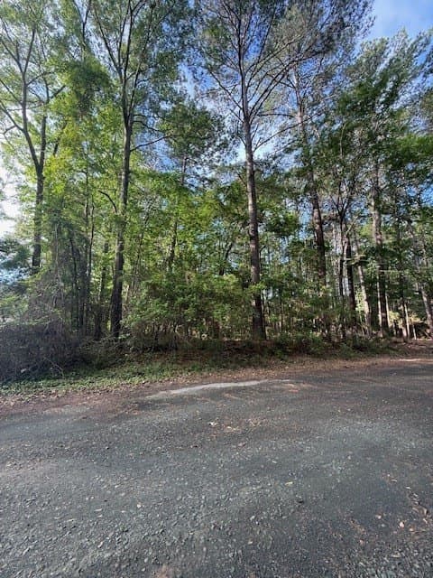 0.28 acres in Texas County - photo 8