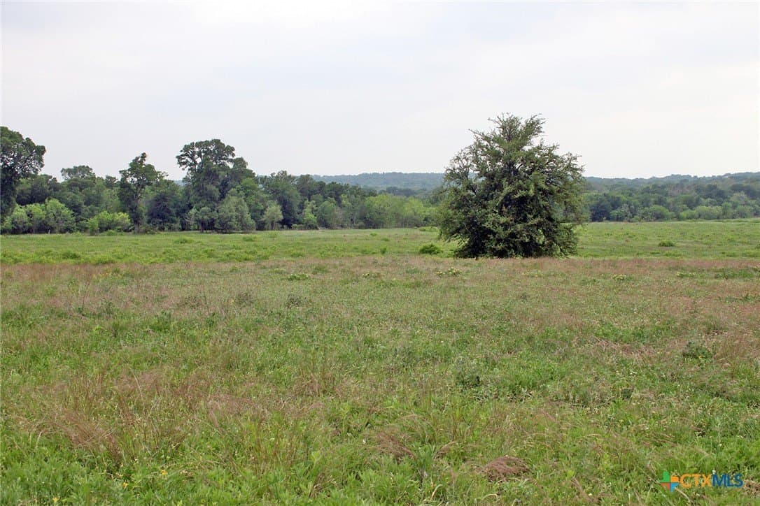 36.03 acres in Caldwell County gallery image 2