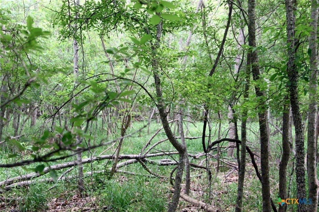 36.03 acres in Caldwell County gallery image 3
