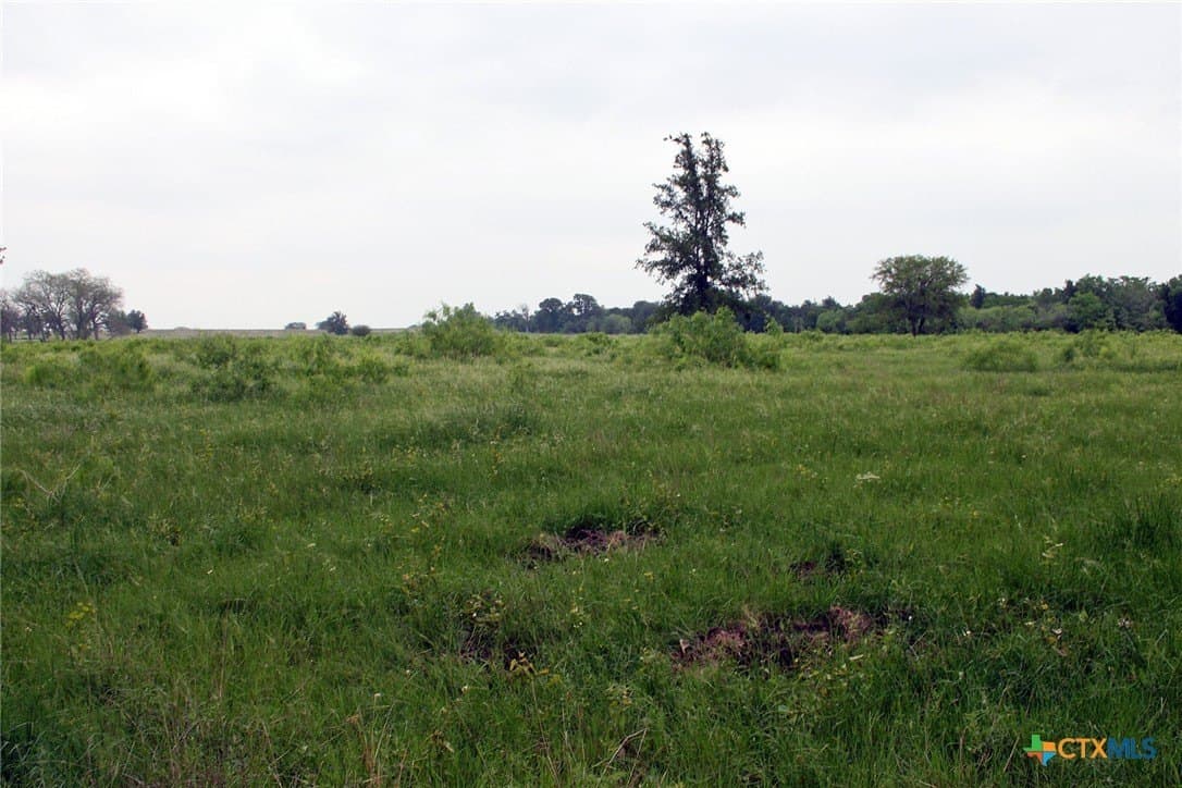 36.03 acres in Caldwell County - photo 13